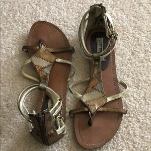 Steve Madden gladiator sandals